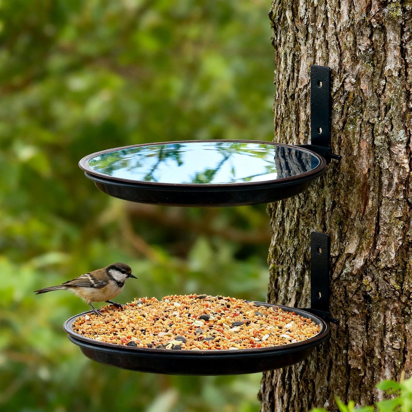 3pcs Fence Bird Feeder Bath Tray for Outside, Wild Bird Bath Bowl with Metal Holder for Wood Post Bird Supplies Adjustable Height Bird Feeder Outdoor Garden Ornaments for Bird Lovers