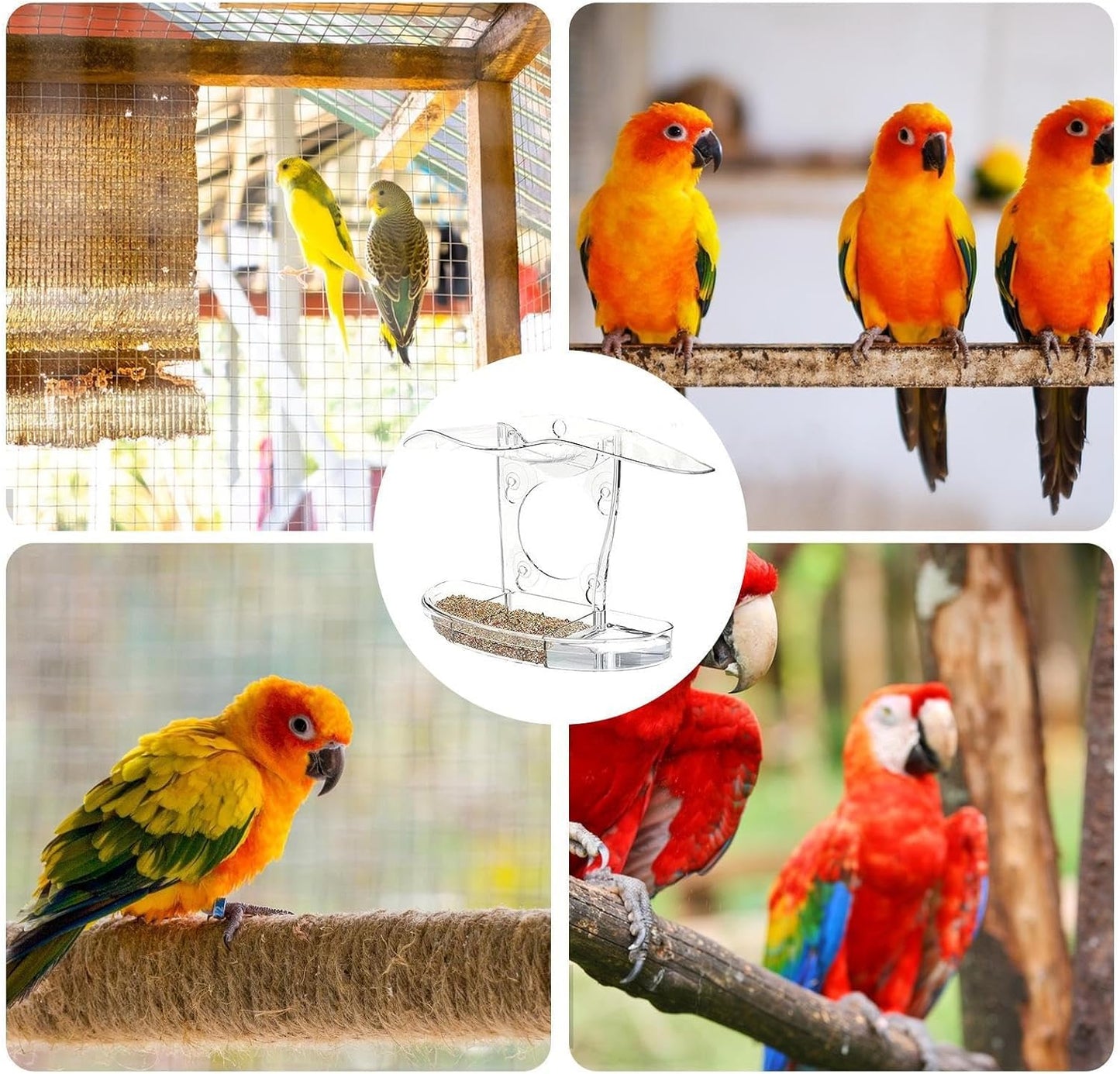 Window Bird Feeder, Pet Feeding Stations, Suction Cup Feeder, Clear Window Bird Feeding with Strong Suction, for Macaws Parrots Sparrows Parakeets Budgies Conures Cockatiels Indoor Outdoor Use