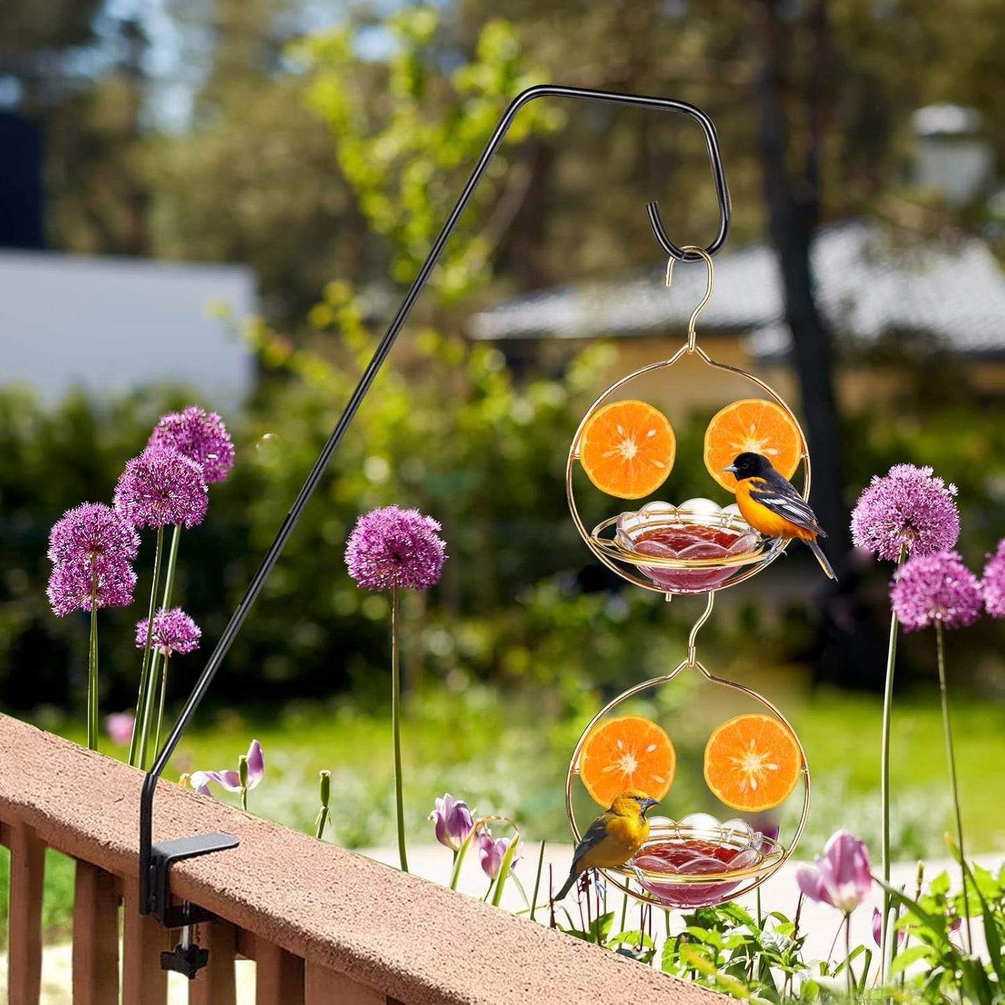 Oriole Feeders for Outdoors Hanging with Fruit Holder, Golden Oriole Feeders, Easy to Disassemble and Wash, Used for Bird Watching in The Courtyard