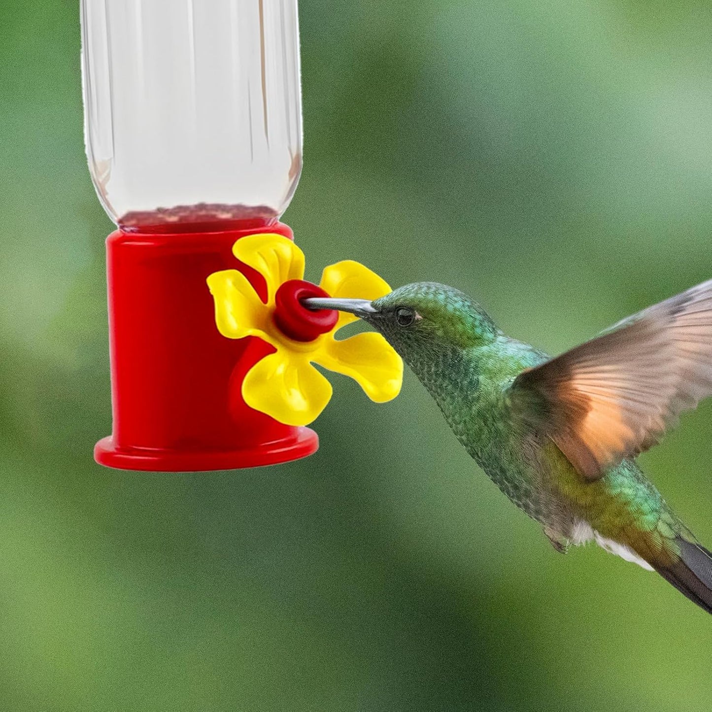 10 Pack Small Hummingbird Feeder for Outdoors Mini Hummingbird Feeders with S Hook Cleaning Brush Plastic Single Feeders for Outdoors Window Hanging
