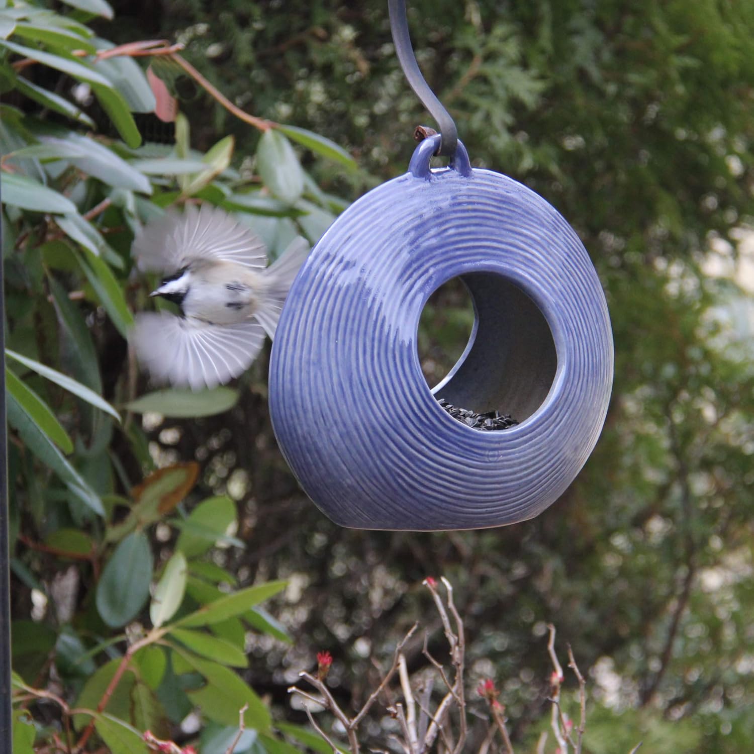 Byer of Maine Circle Fly Through Heather Blue Bird Feeder for Outside,