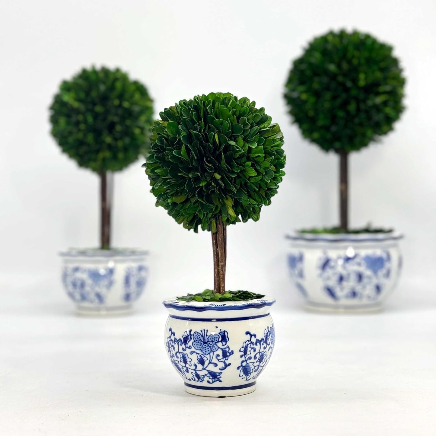 Galt International Naturally Preserved Boxwood Ball Topiary Tree in Round Hand Painted Blue & White Ceramic Pot Planter - European Rococo Home Decor Classic Chinoiserie Small 11" Tall Topiary