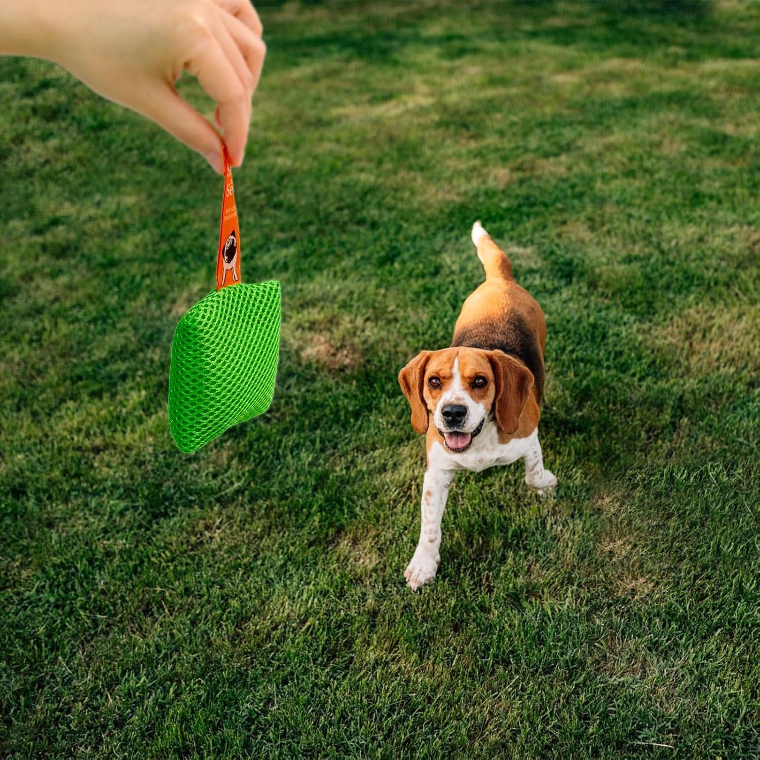 Dog Scent Training kit, Brain Games, Hide and Seek Toys - Fun Nose Wor