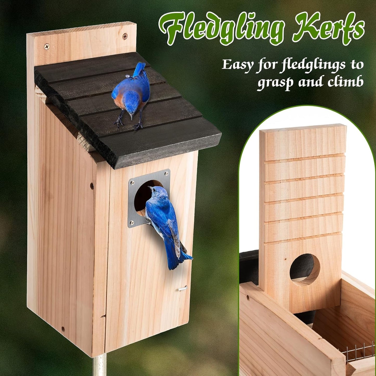 Dreyoo Cedar Bluebird Box Houses for Outside, 1-1/2'' Entrance Hole Wooden Bird Houses with Metal Guard, Secure Latch, Fledgling Grooves, Air Vents for Bluebird Wren Swallow(3 Pack)