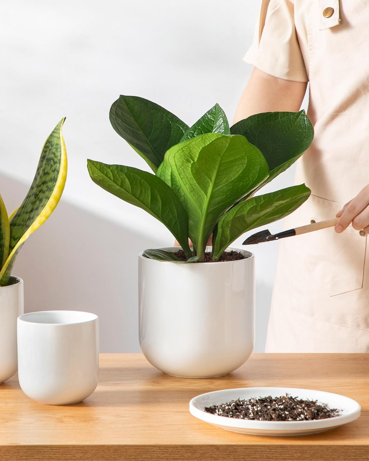vancasso Ceramic Plant Pots, 4+5+6 inches, Set of 3, Planters with Dra