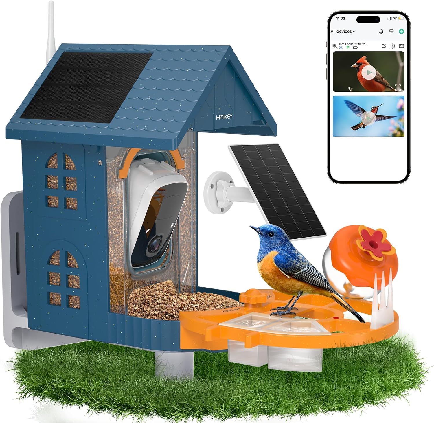 Smart Bird Feeder with Camera Outdoor Birdhouse:AI Identifies 11000+ S