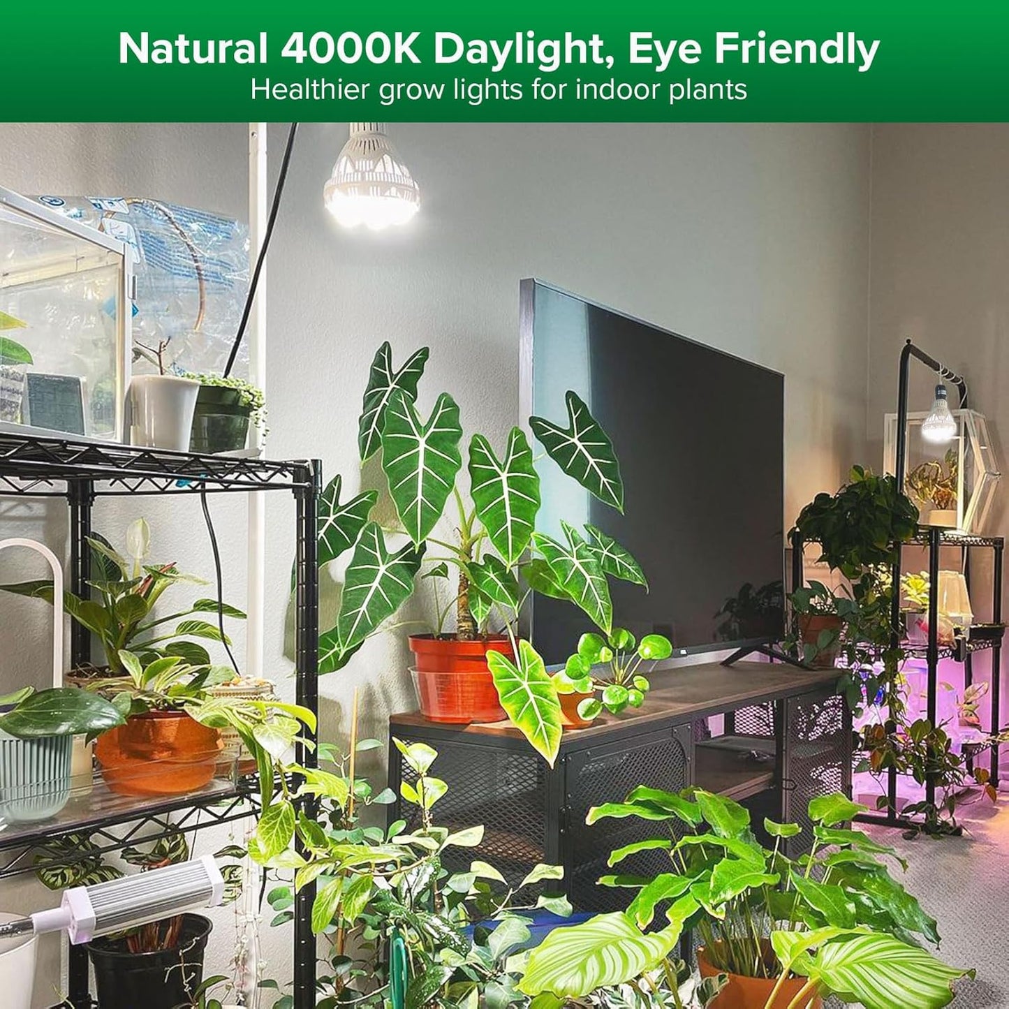 SANSI Grow Lights for Indoor Plants, Full Spectrum 36W Grow Light Bulbs (400 Watt Equiv) with Optical Lens for High PPFD, PPF 65.6 umol/s LED Energy Saving Plant Light for Indoor Growing Seed Starting