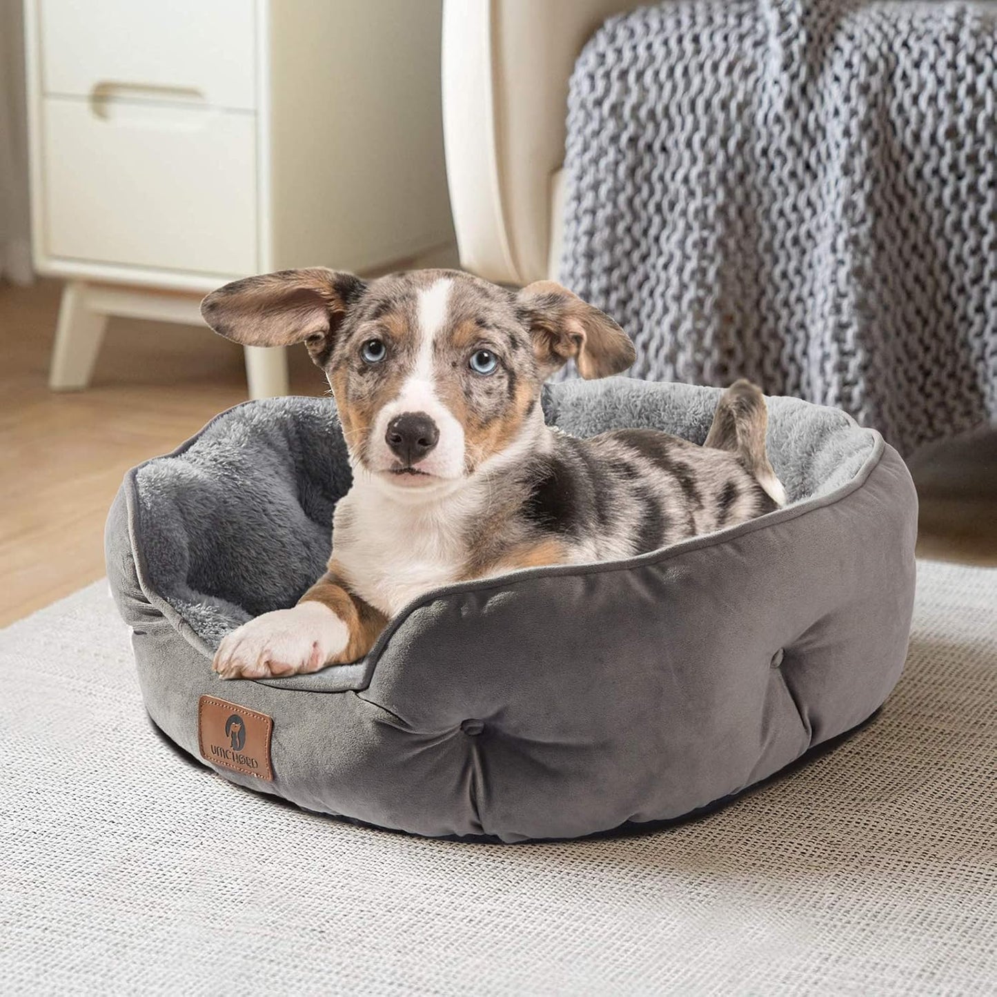 Asvin Small Dog Bed for Small Dogs, Cat Beds for Indoor Cats, Pet Bed 
