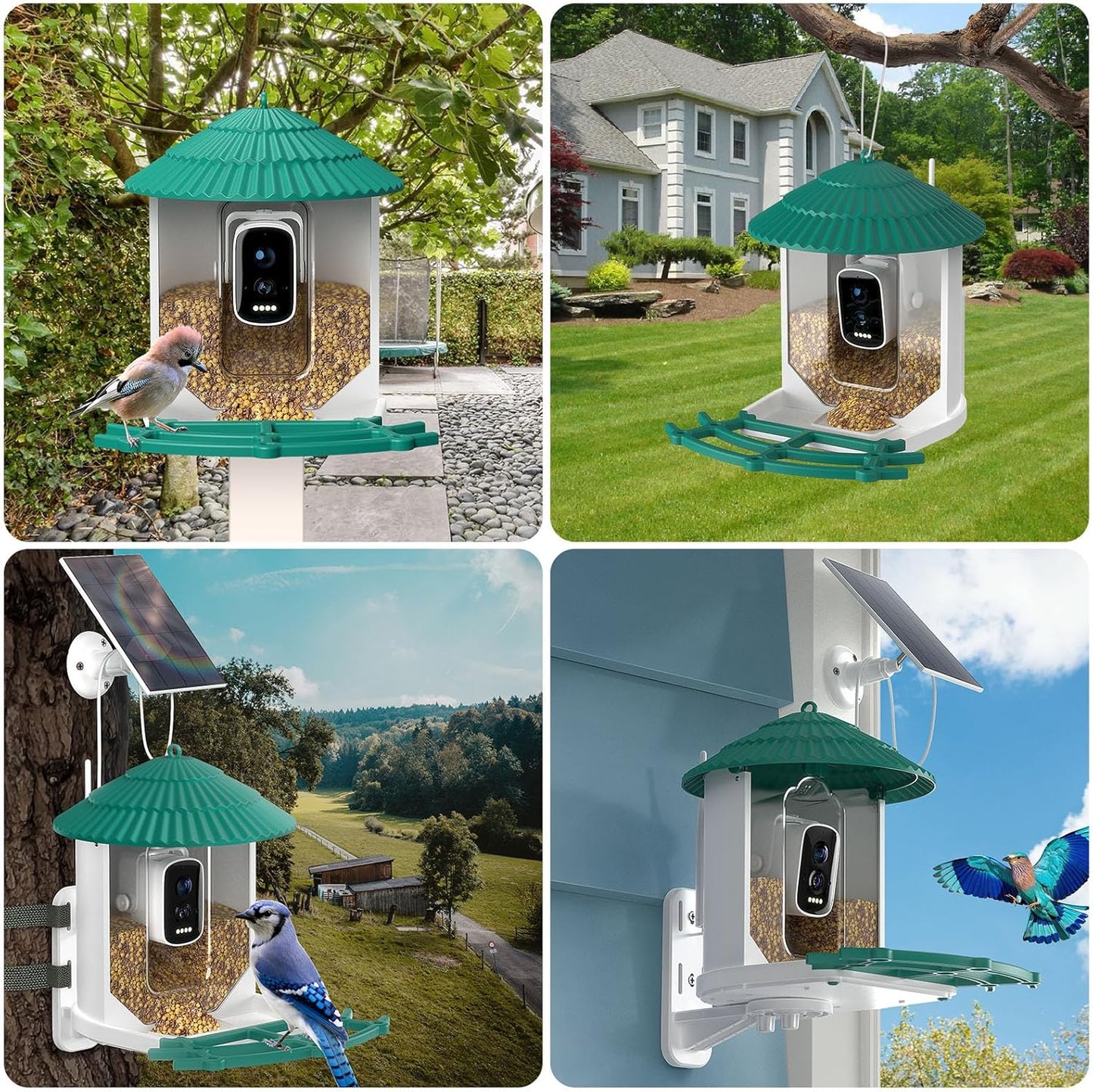 Bird Feeder with Camera,Ai Recognition 10000+ Species,3K Video with Noise Reduction,Solar Powered Bird House for Outdoors Bird Watching