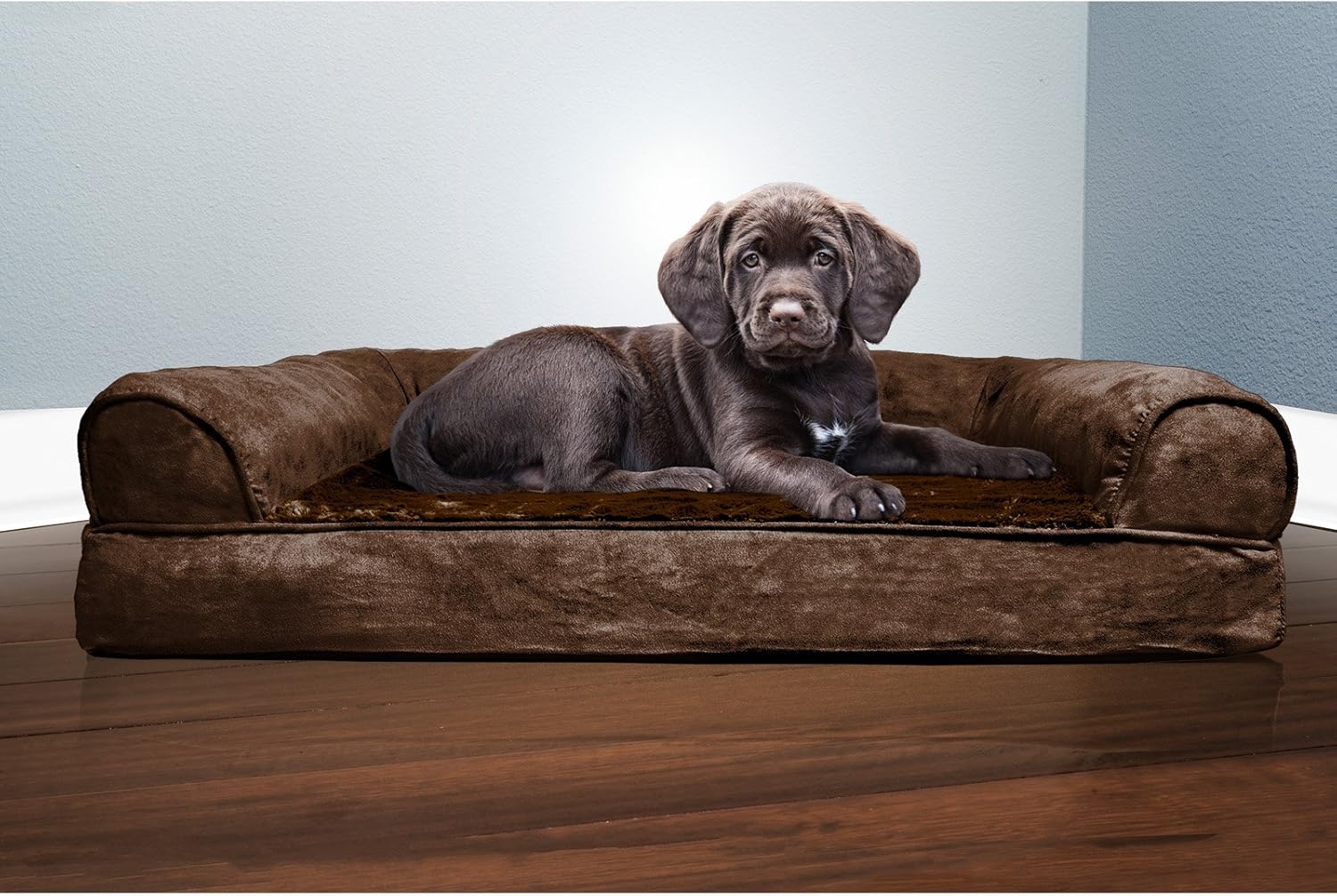 Furhaven Orthopedic Dog Bed for Medium/Small Dogs w/ Removable Bolster