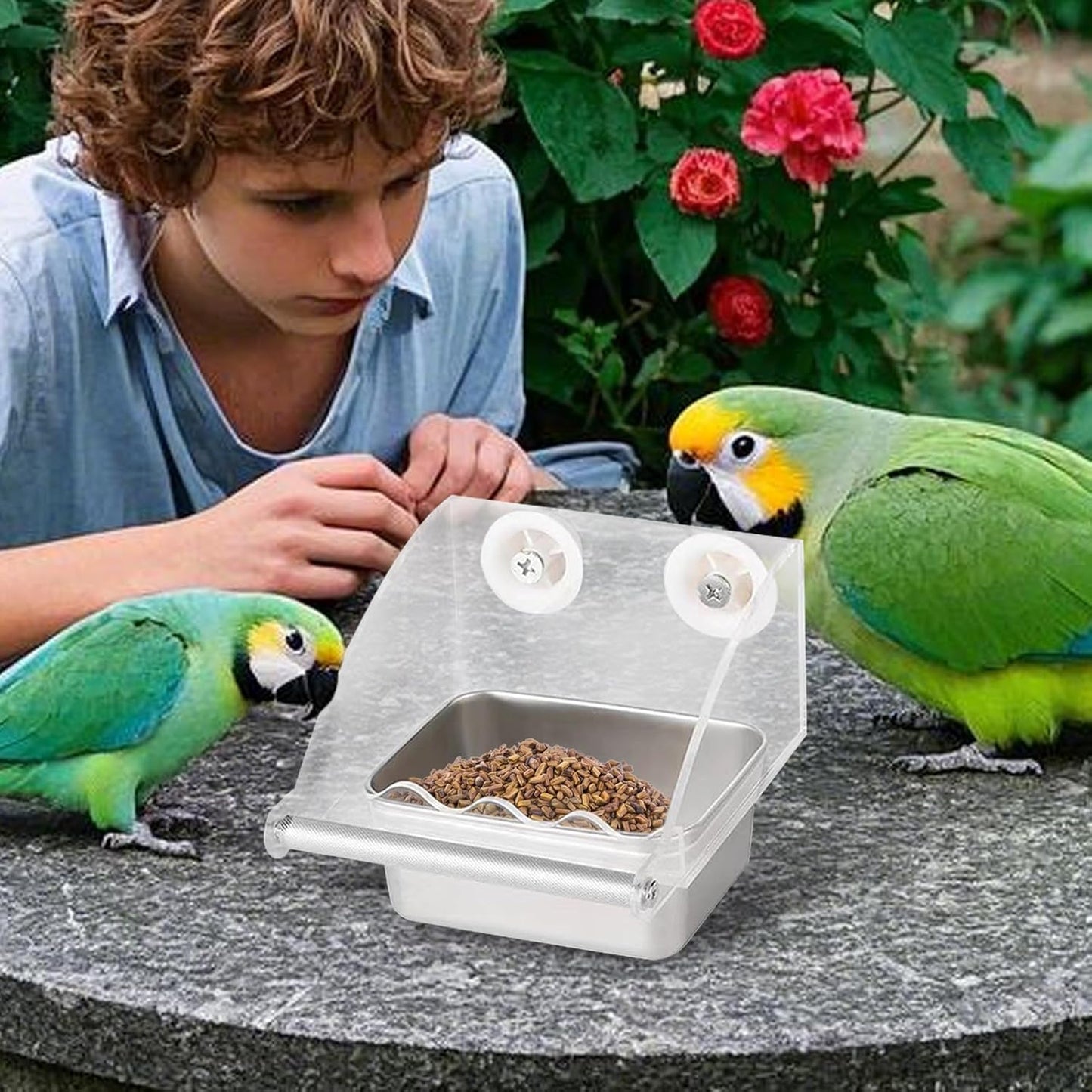 Bird Feeder – Transparent Cage Design, Anti-Slip Perch Feature, Stainless Watering Supply, Easy Fill Build, Premium Quality Outdoor Accessory, Feeding Tool for Patio Balcony Backyard