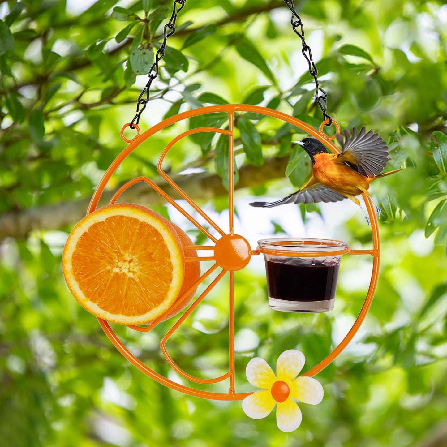 FORUP Oriole Bird Feeder for Outdoors Jelly and Oranges, Orange Fruit 