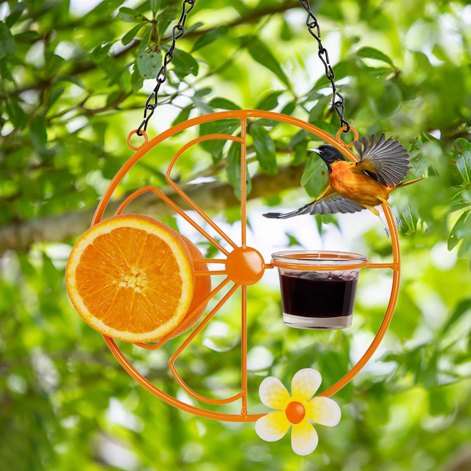 FORUP Oriole Bird Feeder for Outdoors Jelly and Oranges, Orange Fruit 