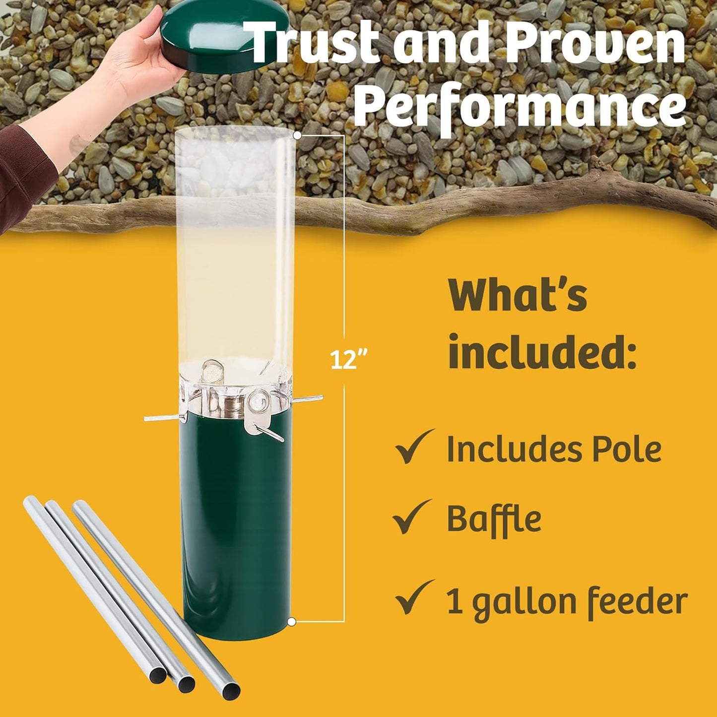 Birds Choice Classic Squirrel Proof Bird Feeder with Pole Mount | Tube Bird Feeder for Cardinals, Chickadees, Woodpeckers | Sturdy Steel for Long-Lasting Use | Backyard Bird Seed Dispenser | Green