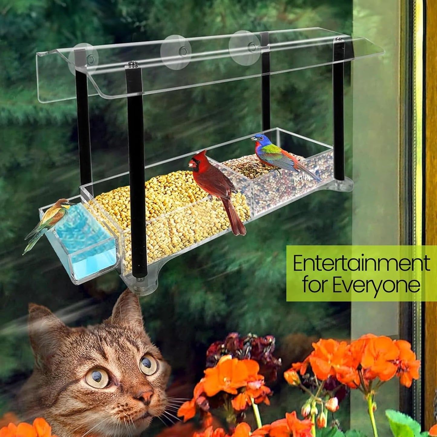 Nature Gear Window Bird Feeder with Strong Suction Cups, Clear Acrylic Window Bird Feeder with Removable Sliding Seed Tray, Weather-Resistant, Squirrel-Resistant Design, Column