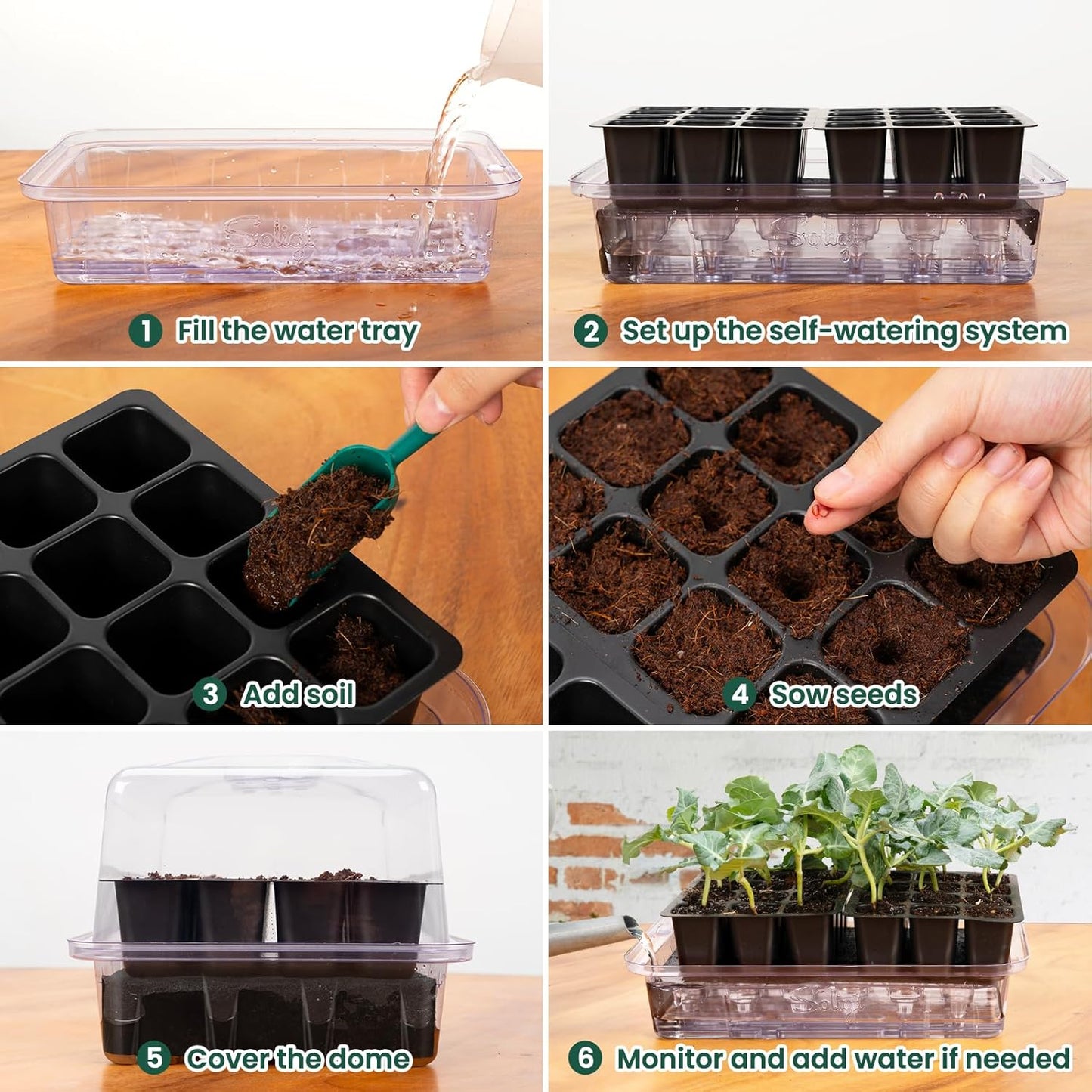 SOLIGT Self Watering Seed Starter Trays with Humidity Domes, Extra Thi