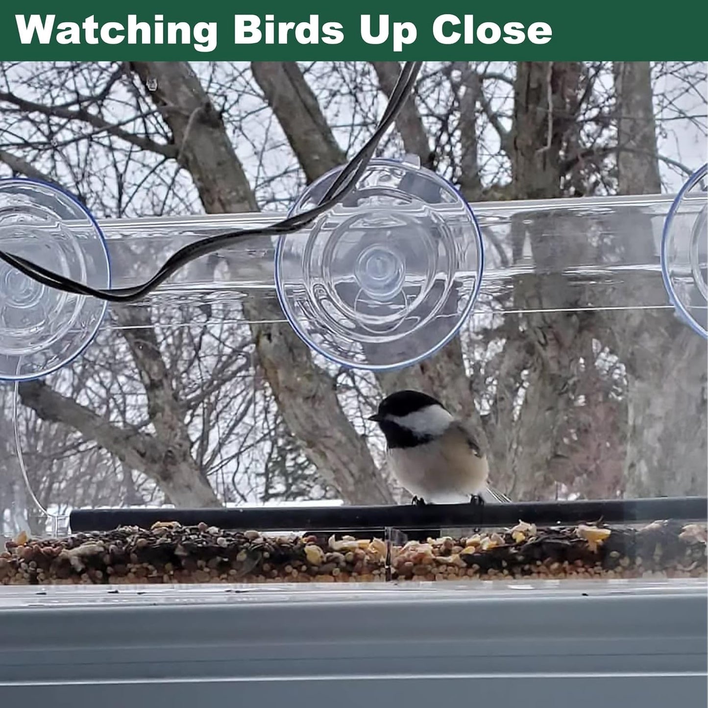 Window Bird Feeder with Strong Suction Cups, Large Clear Window Bird Feeders for Outside, Transparent Viewing Acrylic Birdfeeder for Wild Birds, Removable Seed Tray with Drain Holes, Easy to Clean.