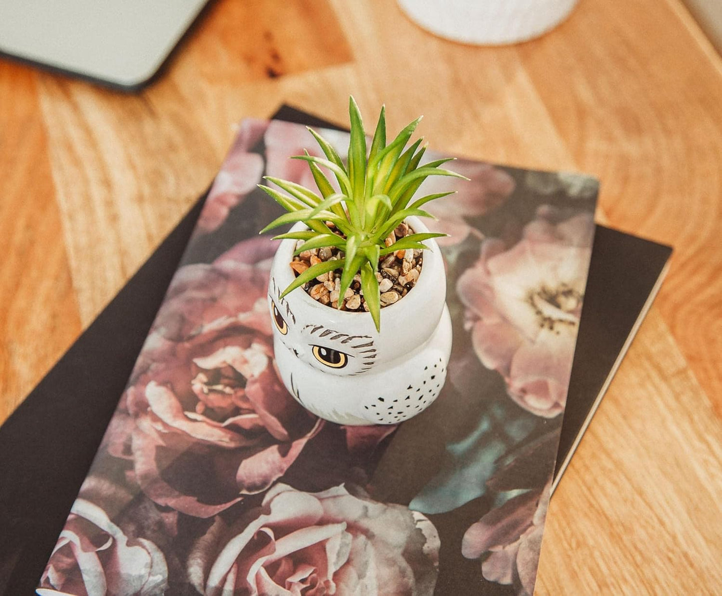 Harry Potter Hedwig 3-Inch Ceramic Mini Planter with Artificial Succulent | Small Flower Pot, Faux Indoor Plants for Desk Shelf, Home Decor Trinket Tray | Wizarding World Gifts and Collectibles