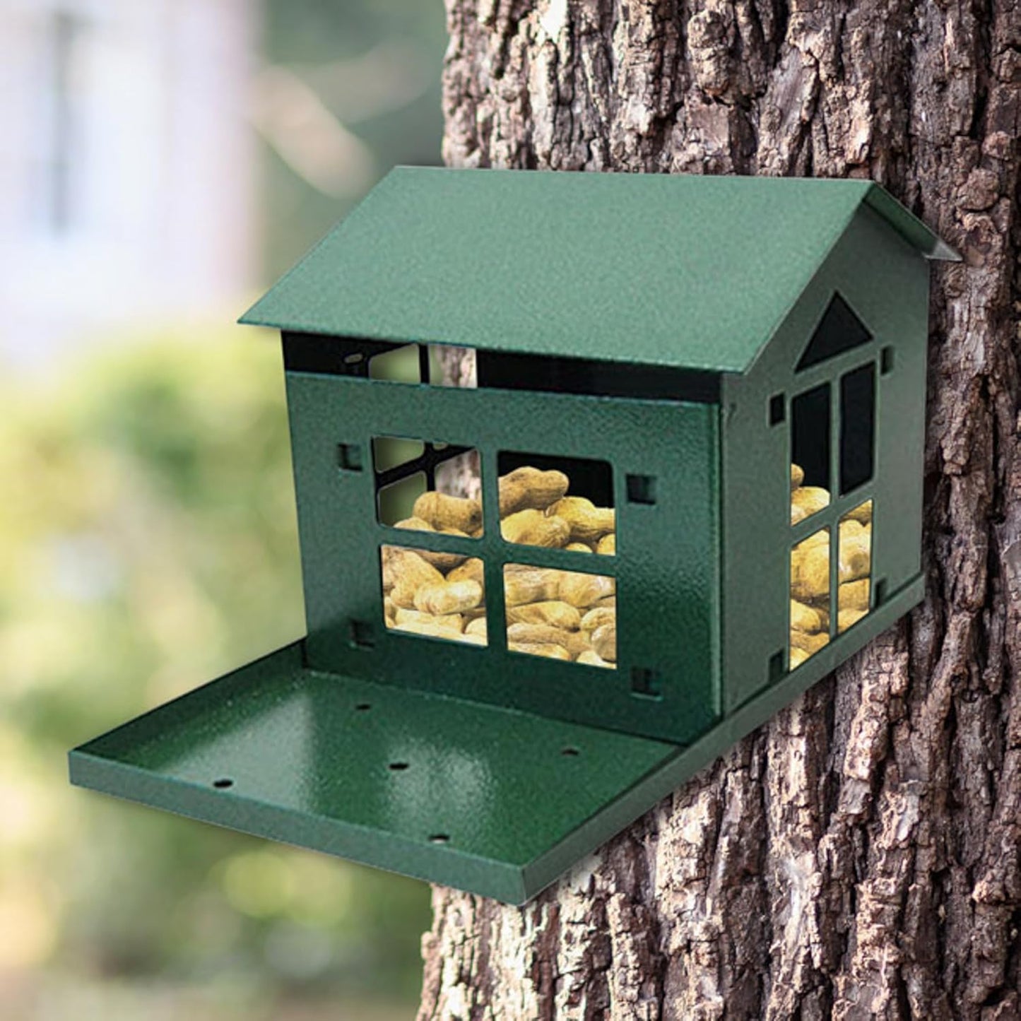 Erva Peanut Pantry Squirrel Feeder - Heavy Duty Steel - Premium Verdig
