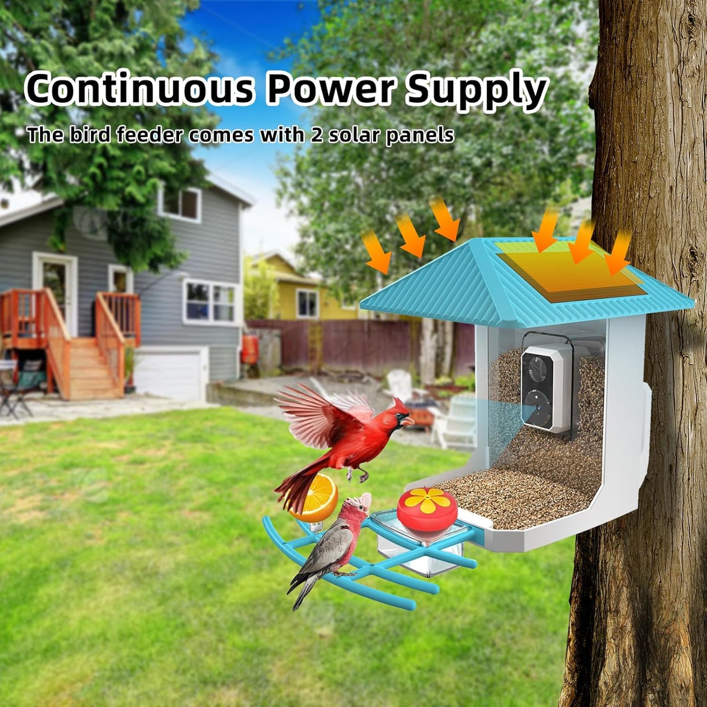 2K Smart Bird Feeder with Camera, 2.5L Ai Smart Bird House for Outdoor