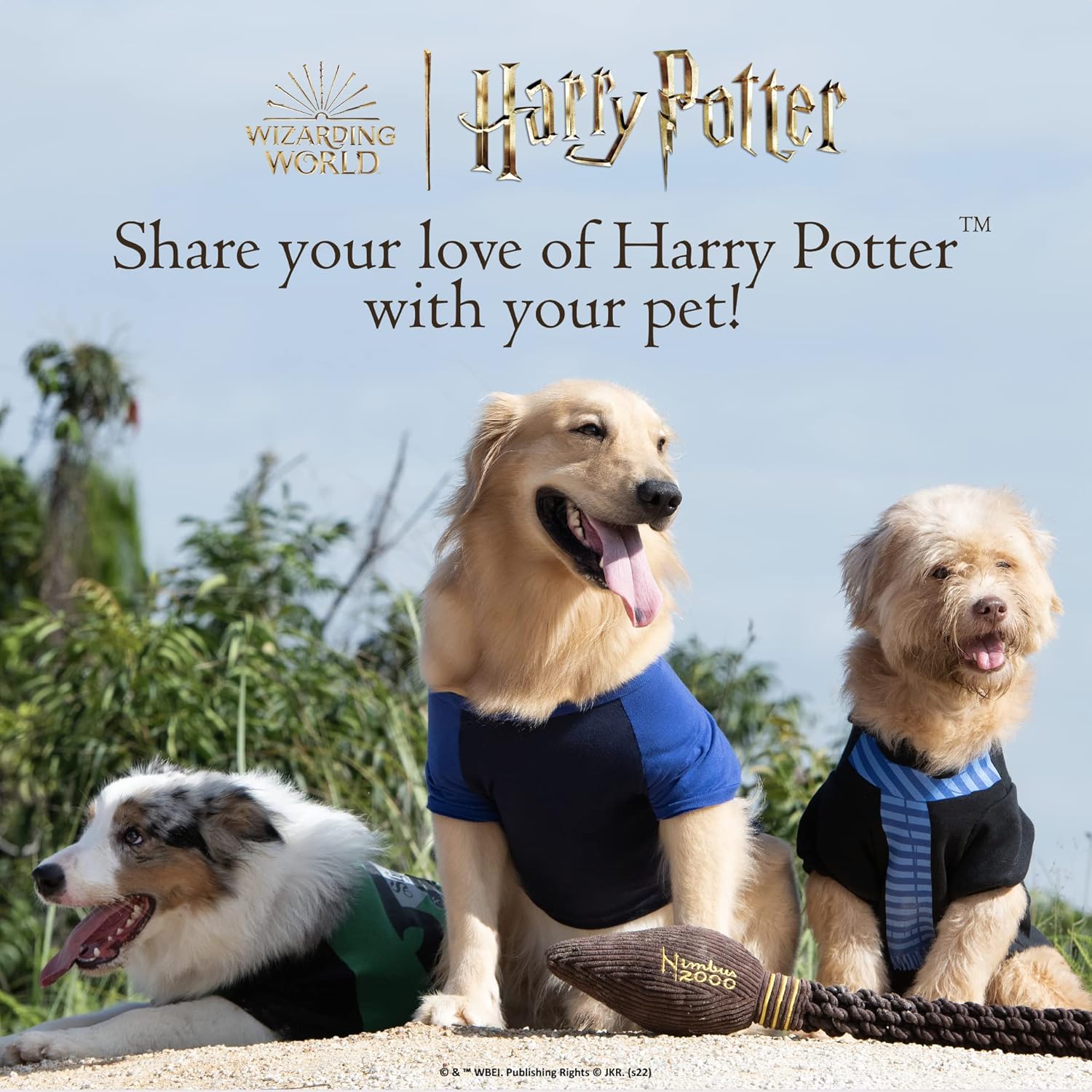Harry Potter Snitch Pet Squeaker Toy | Dog Toy Snitch Squeaker Ball | 