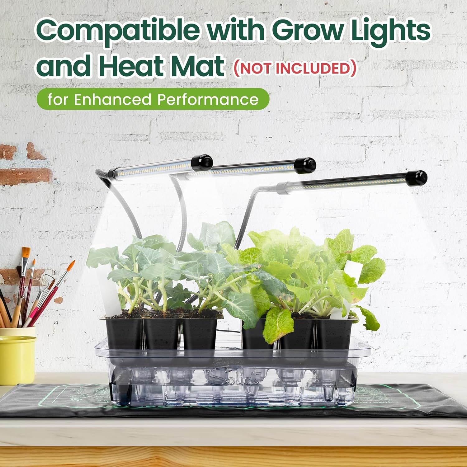 SOLIGT Self Watering Seed Starter Trays with Humidity Domes, Extra Thi