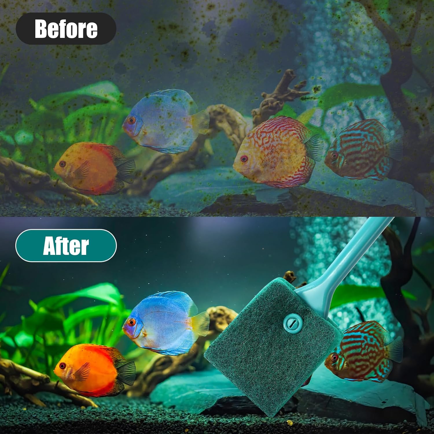 AQUANEAT Fish Tank Cleaning Tools, Aquarium Double Sided Sponge Brush,
