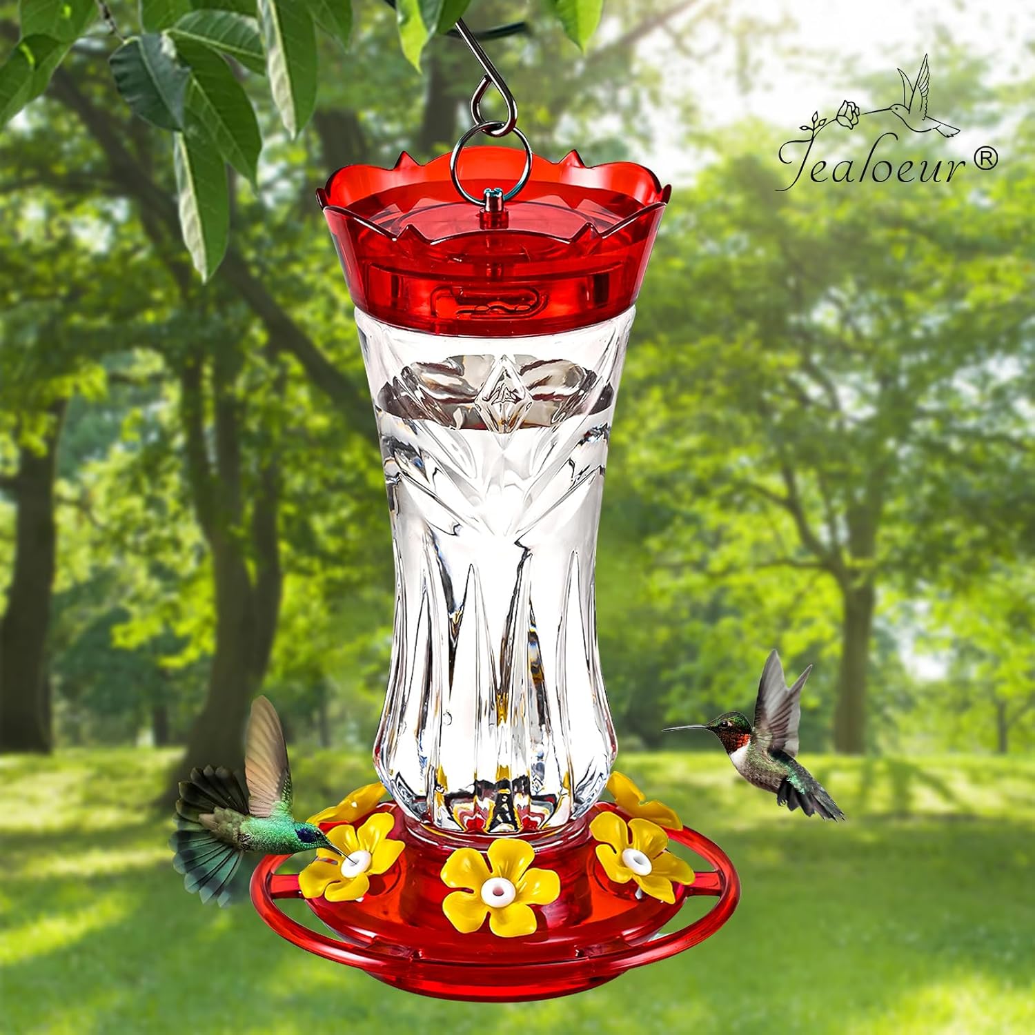 2 Pack Hummingbird Feeder for Outdoors Hanging, 18 OZ Humming Birds Fe
