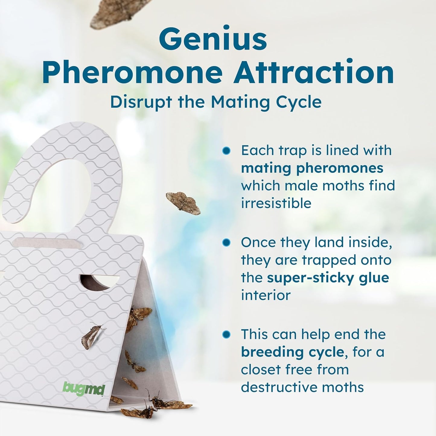 BugMD Clothes & Pantry Moth Traps (6 Count) – Sticky Glue Pheromone-Ba
