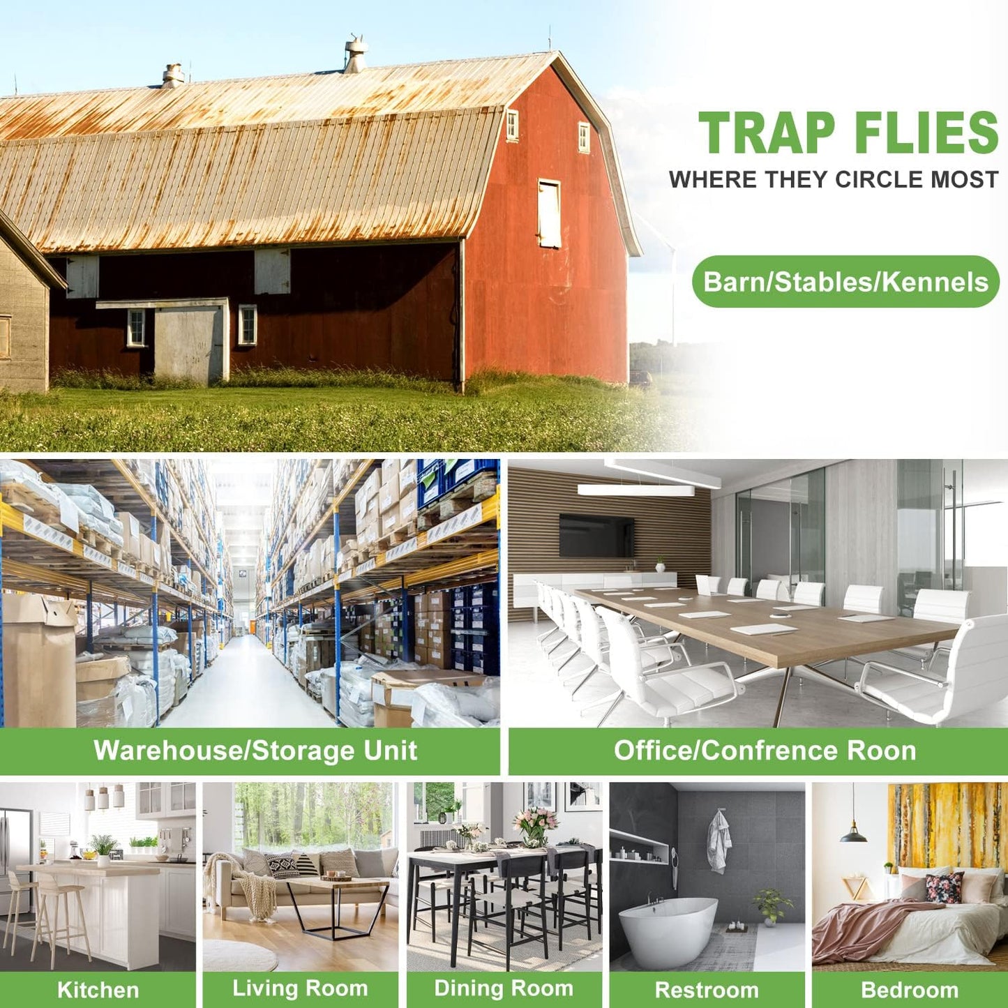 50 Pack Window Fly Trap, Fruit Fly Traps for Indoors, Fly Paper Sticky