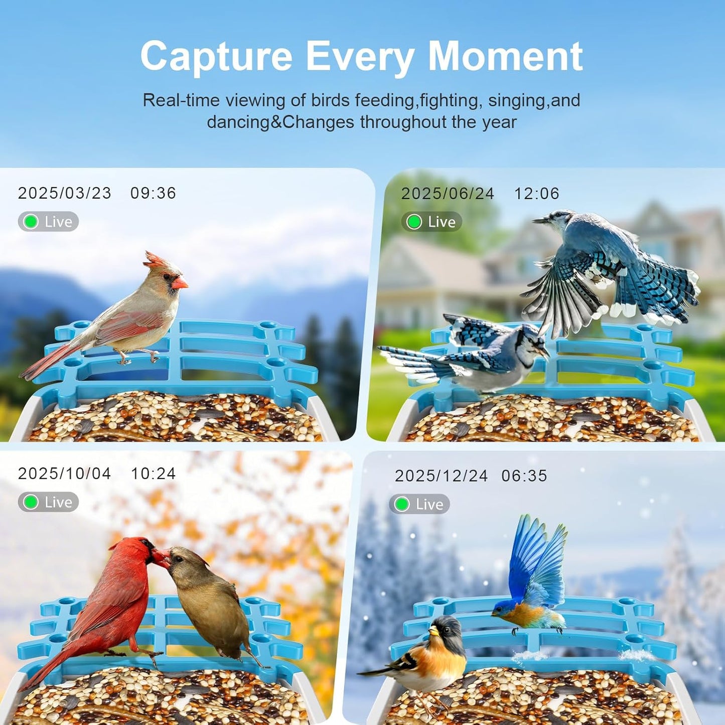 Smart Bird Feeder with Camera, Solar Powered, AI Recognition, Auto-Capture & Instant Notify, Identify 11,000+ Birds, 2K HD Footage, for Bird Enthusiasts, Outdoor Garden.