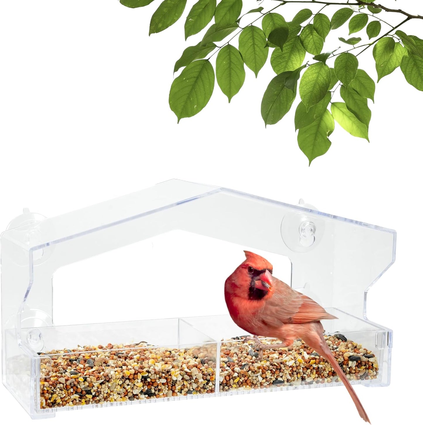 Perky-Pet Clear Outdoor Window Bird Feeder with Strong Suction Cups – 1 Lb Seed Capacity - Perky Pet 347 - Entertaining Bird Feeding - Great Gift Idea, Outdoor Decor