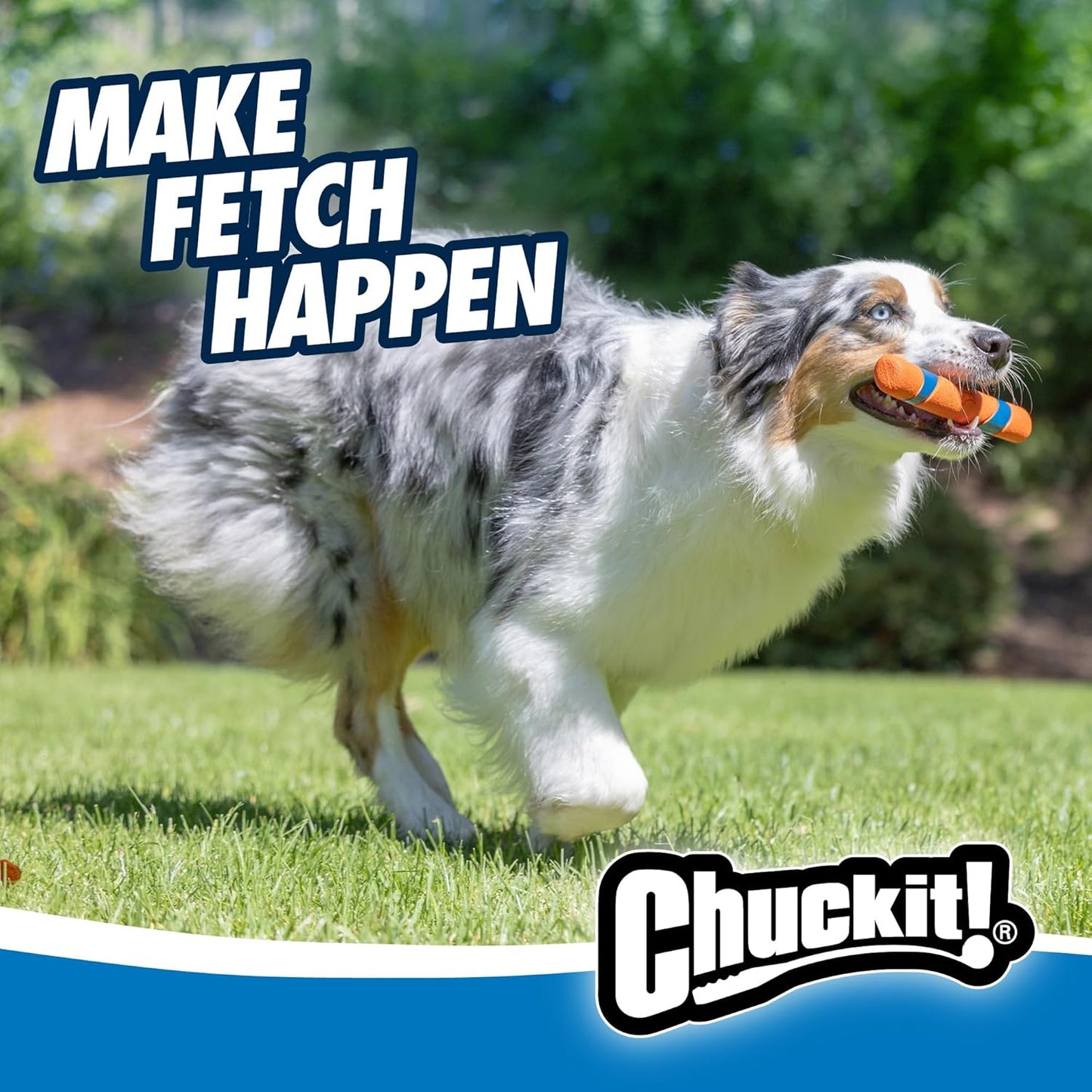 Chuckit! Interactive Dog Toy Ultra Fetch Stick - 12 Inch Outdoor Dog T