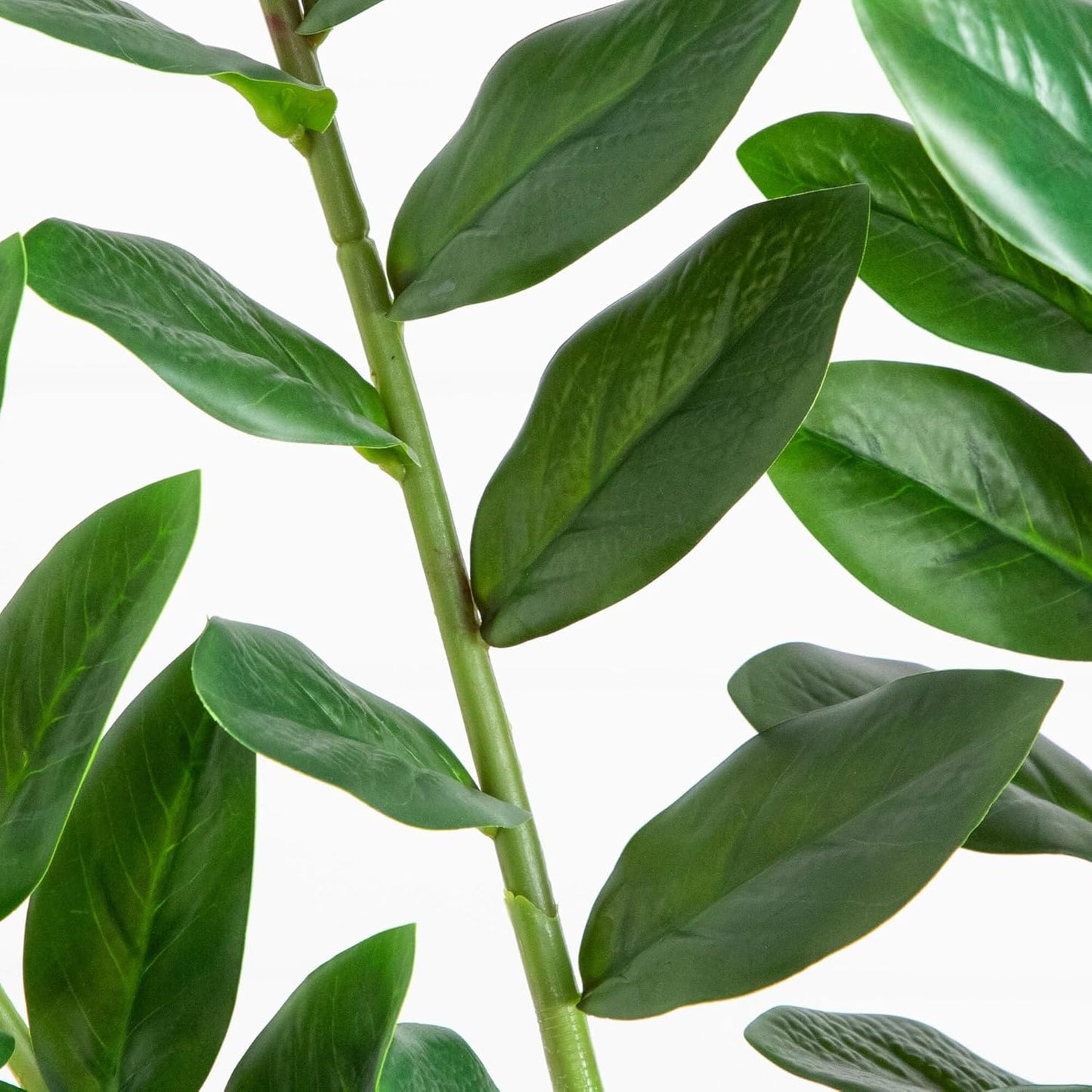 Nearly Natural 6ft Artificial Zamioculcas Plant - Realistic Faux Plant for Home Decor - Premium Materials - Bendable Branches - Year-Round Greenery - Nursery Planter Included