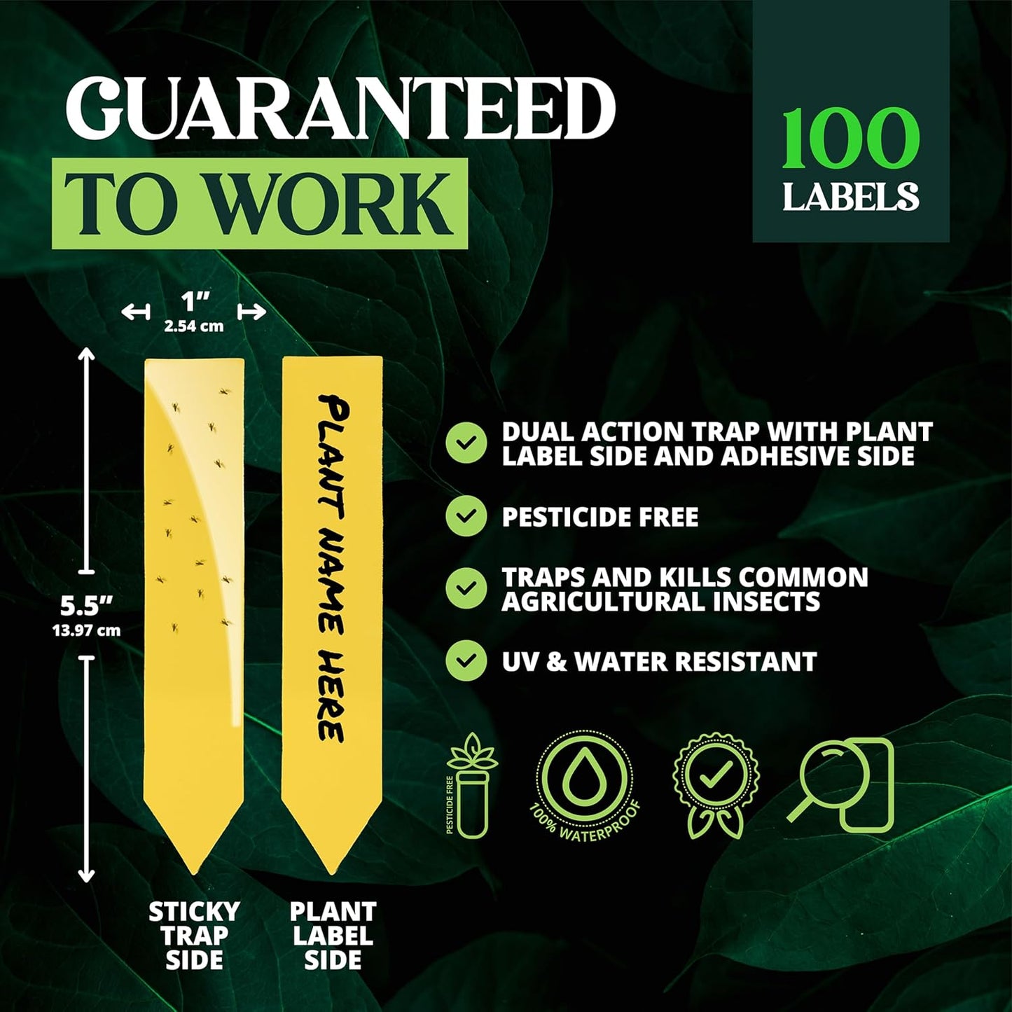 Catchmaster Dual Action Plant Labels 100 PK, Sticky Insect Trap Plant 