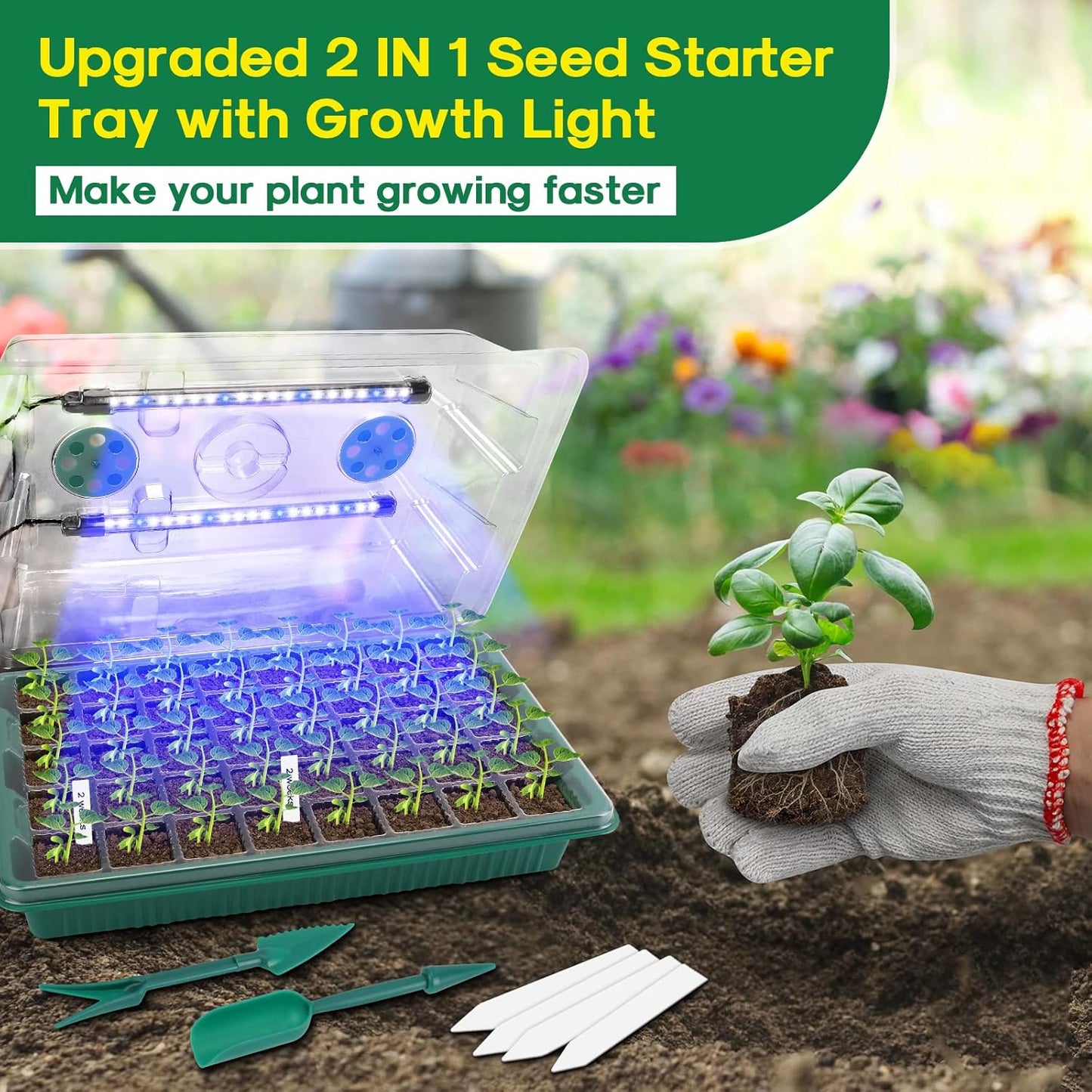 BlumWay Seed Starter Tray with Grow Light,2 Pack 80 Cells Seedling Tra