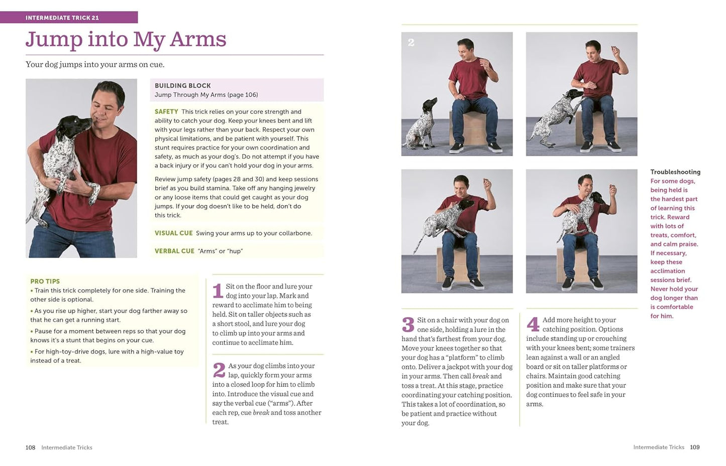 The Big Book of Tricks for the Best Dog Ever: A Step-by-Step Guide to 