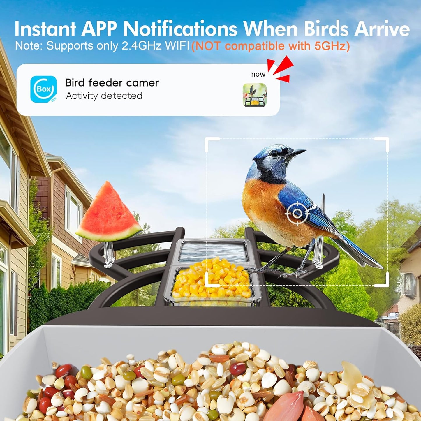 Smart Bird Feeder with Camera Solar Powered, 4K HD Live Video Bird Camera Feeder with AI Identifies,App Control,Instant Arrival Alert,Auto Capture,Motion Detection,IP65 Waterproof Bird House