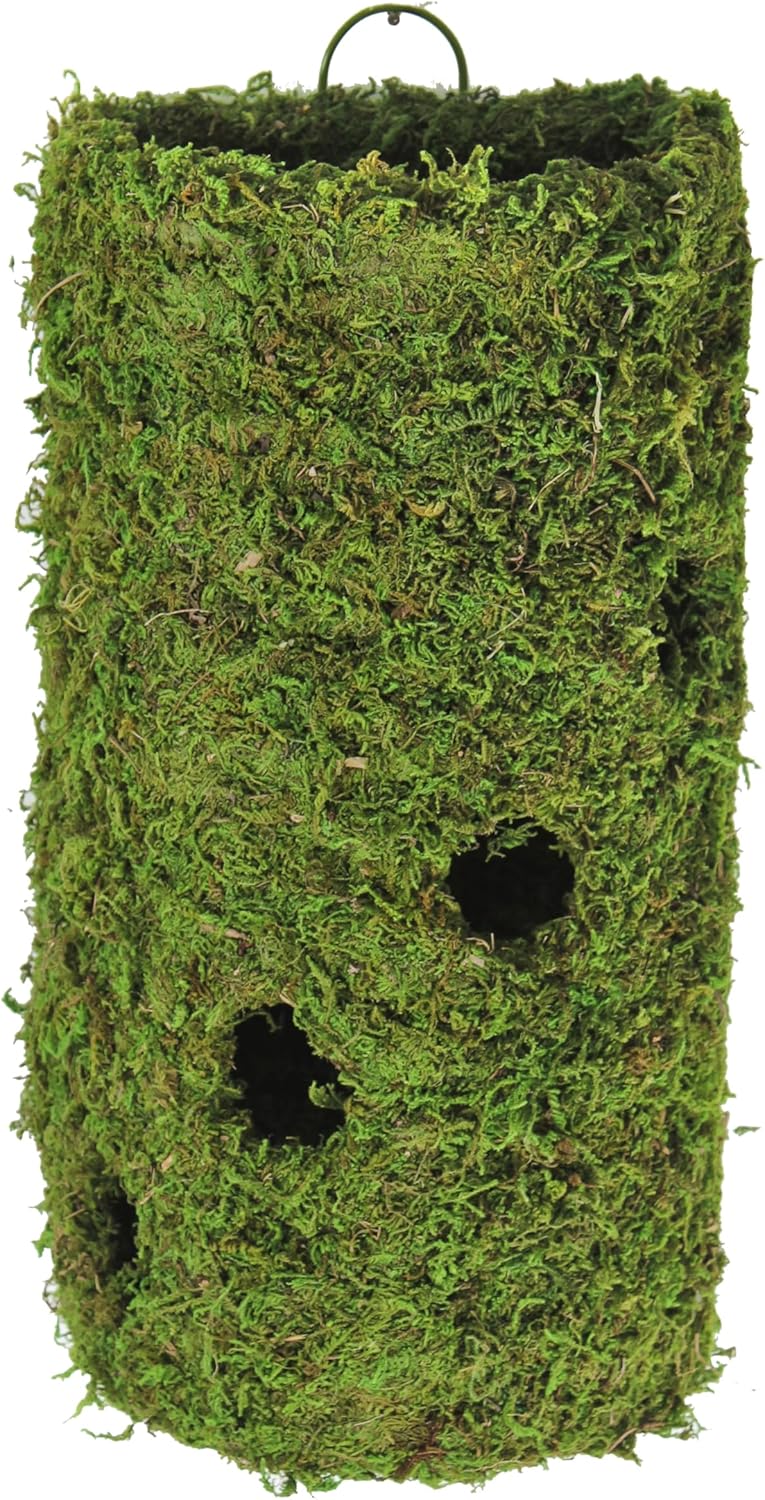SuperMoss (29397) MossWeave Wall Sconce, Plant Hanger, Spring Green, 8