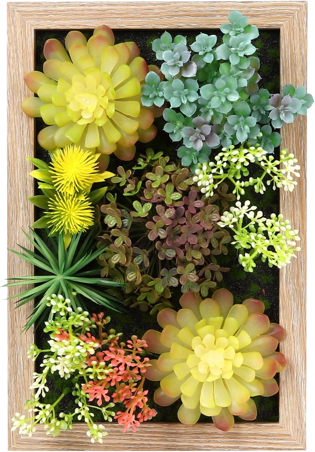 3D Artificial Succulent Floral Framed Faux Succulents Desk Plants for Table and Hanging Wall Decor for Room Decoration Background Living Outdoor(8x12 inch)