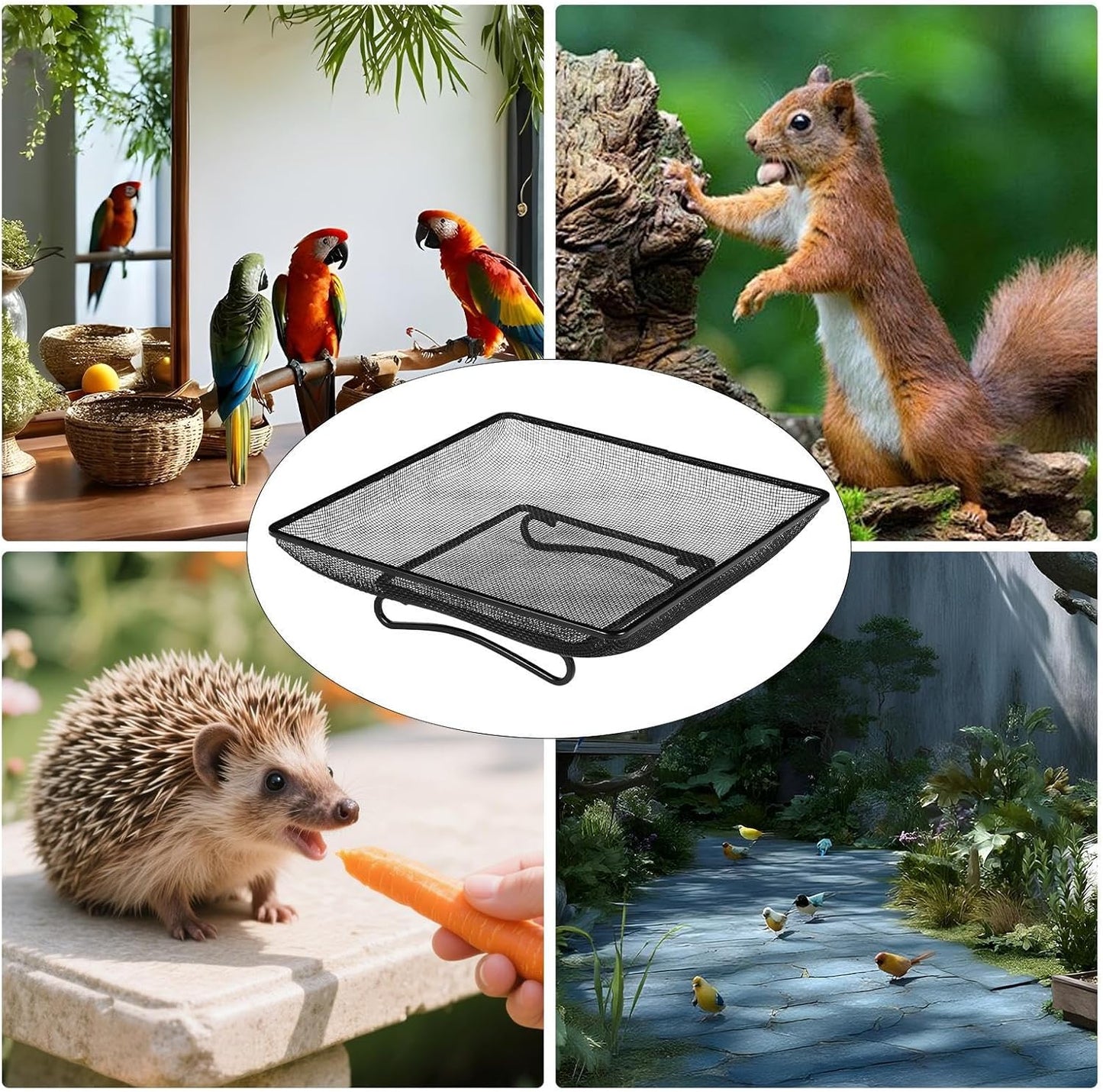 Wild Bird Feeders, Square Ground Tray Feeder, Metal Mesh Bowl for Feeding Birds, Stainless Steel Bird Feeder with Mesh Design, Outdoor Garden Station with Wildlife Access, Blue Jay Squirrel Feed Use