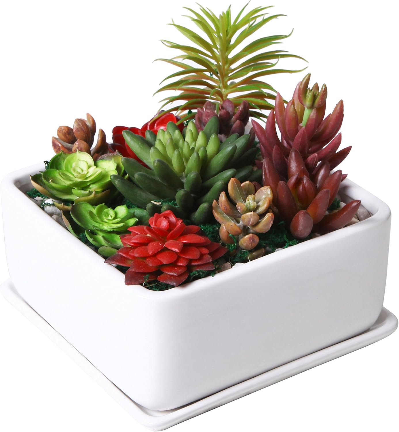 MyGift Modern White Ceramic Square Indoor Small Planter, Flower Succulent Plant Pot with Drainage Hole and Removable Drip Tray
