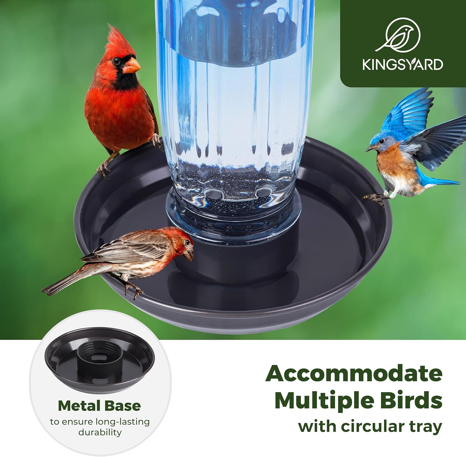 Kingsyard Glass Bird Water Dispenser for Outdoor, 16 Oz, Bird Water Fe