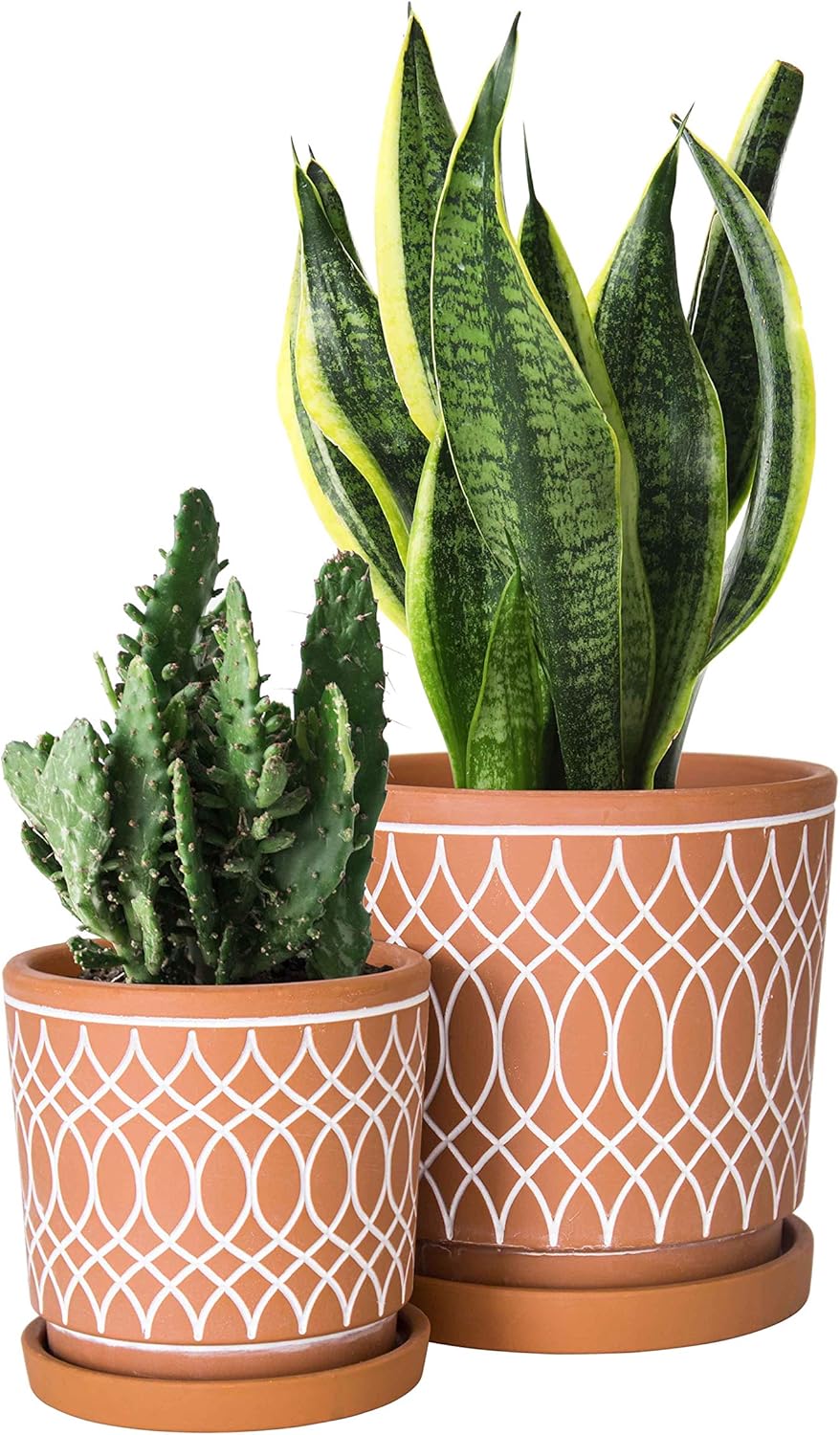 D'vine Dev Set of 2 Terracotta Pots, 4 Inch and 6 Inch, Planter Pots for Plants with Drainage Holes and Saucers, Terracotta/White, 31-958-C-1
