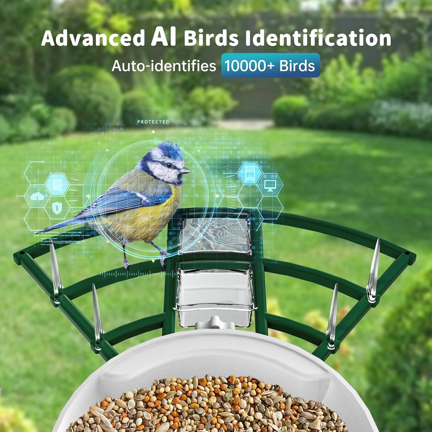 Smart Bird Feeder with Camera Solar Powered & AI Bi rd Identification, 2.4Ghz WiFi Bird feeders for Outdoors, 2K Live Video, Instant Arrival Alerts - Best Gifts for Bi rd Lovers - Green