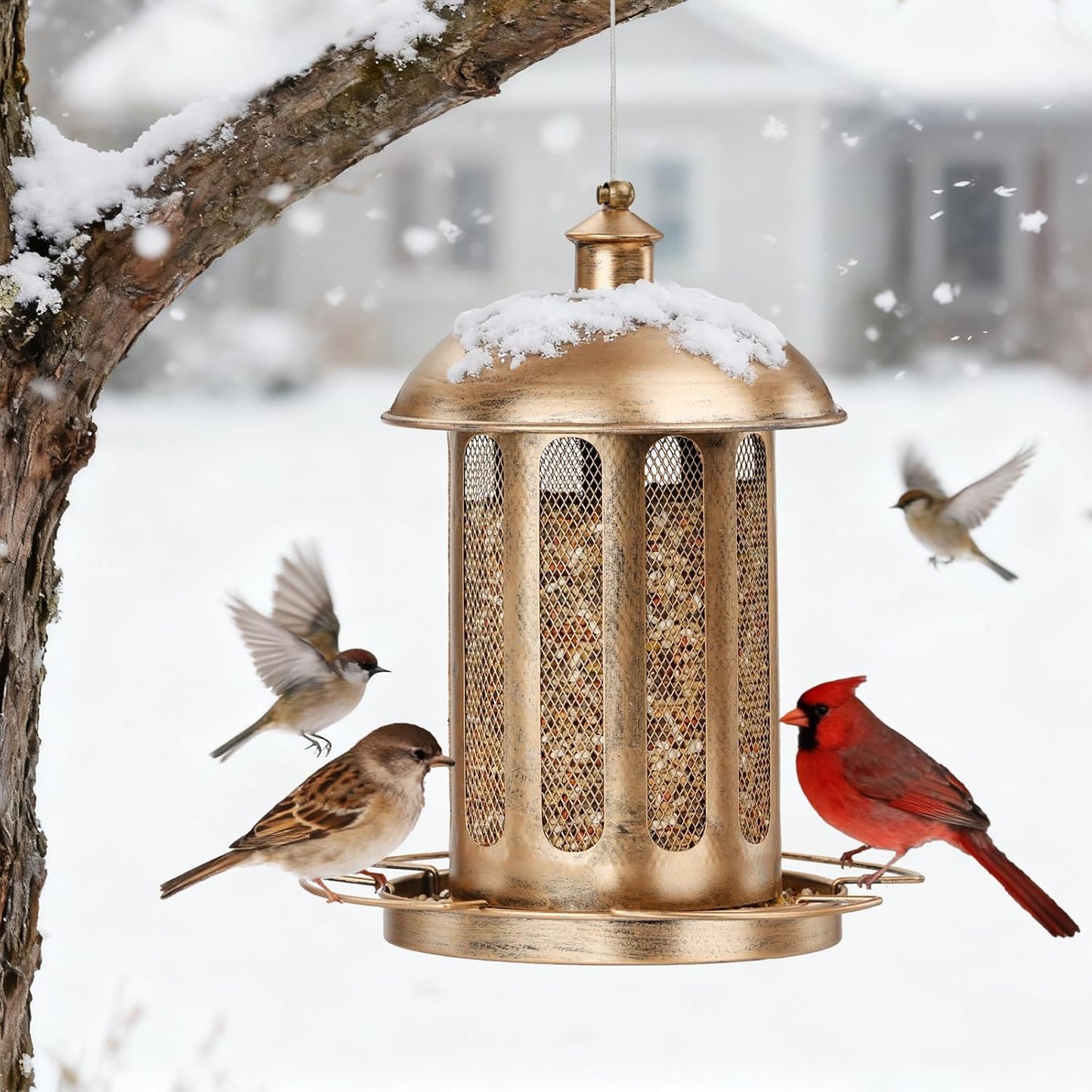 Bird Feeder, Large Capacity Bird Feeders for Outdoor Hanging, Heavy Duty Metal Wild Birdfeeder for Outside Garden Yard Decor, Retro Lantern Shape