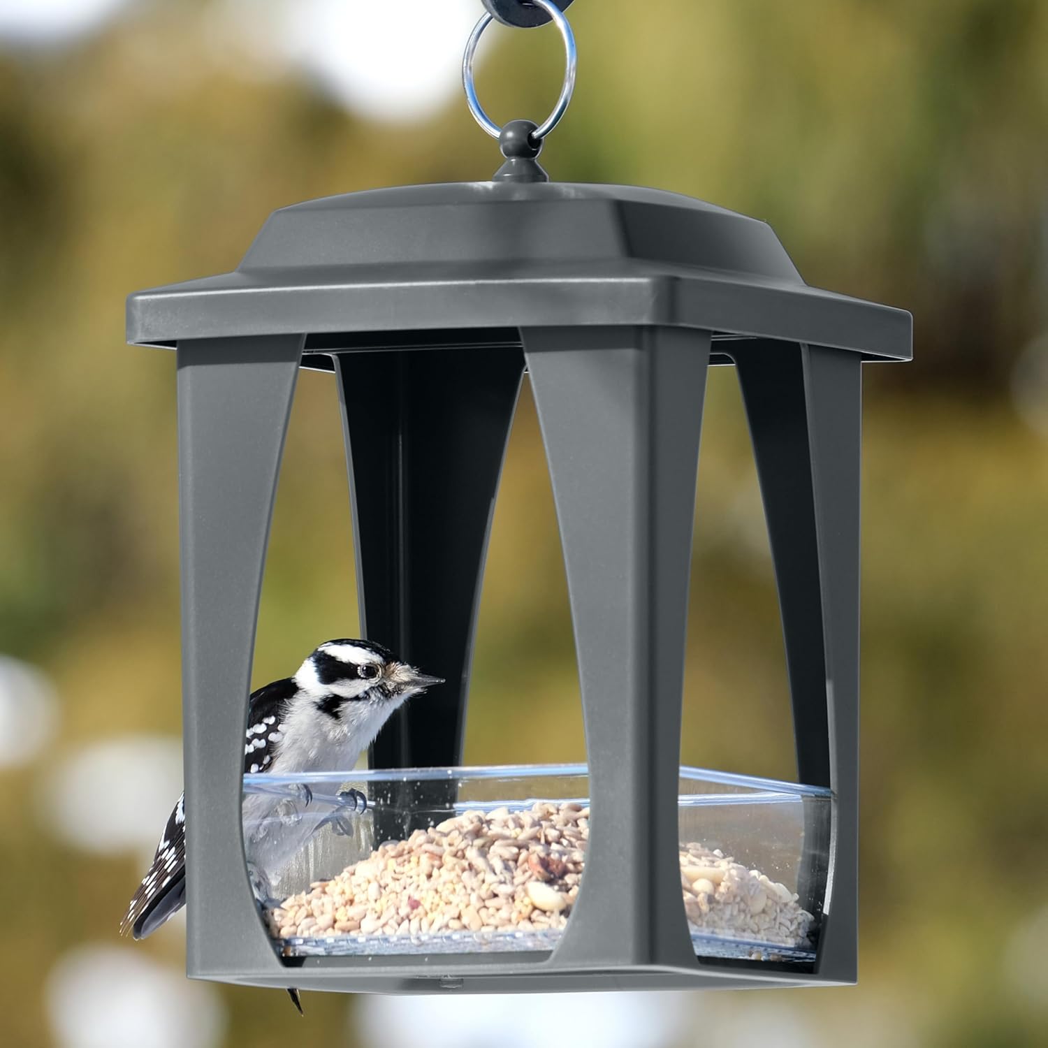 Nature’s Way Dine-in Hanging Fly-Through Bird Feeder with Protective R