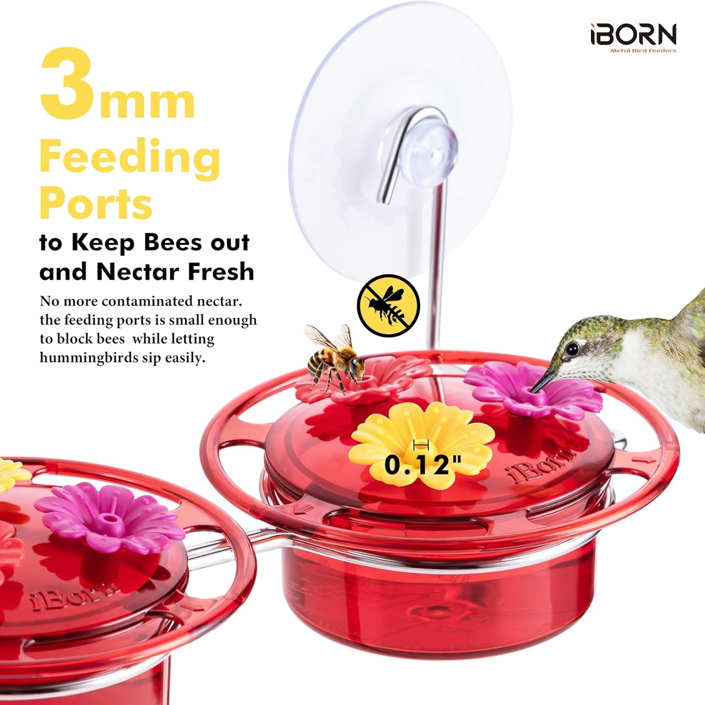iBorn Window Hummingbird Feeder Hummingbird Feeder with Strong Suction Cup Mini Humming Bird Feeders for Outdoors, Bee-Proof Feeding Ports & Stainless Steel Base, 3oz, 2025 New