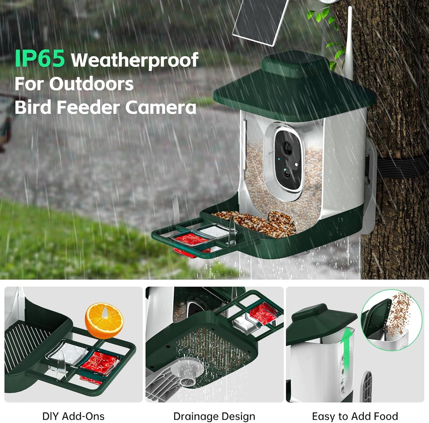 Smart Bird Feeder with Camera, AI Identify Bi rd Species Solar Powered,Full HD Live Video Bird Feeder Camera, 2.4Ghz WiFi, Instant Arrival Alerts - Best Gifts for Bi rd Lover