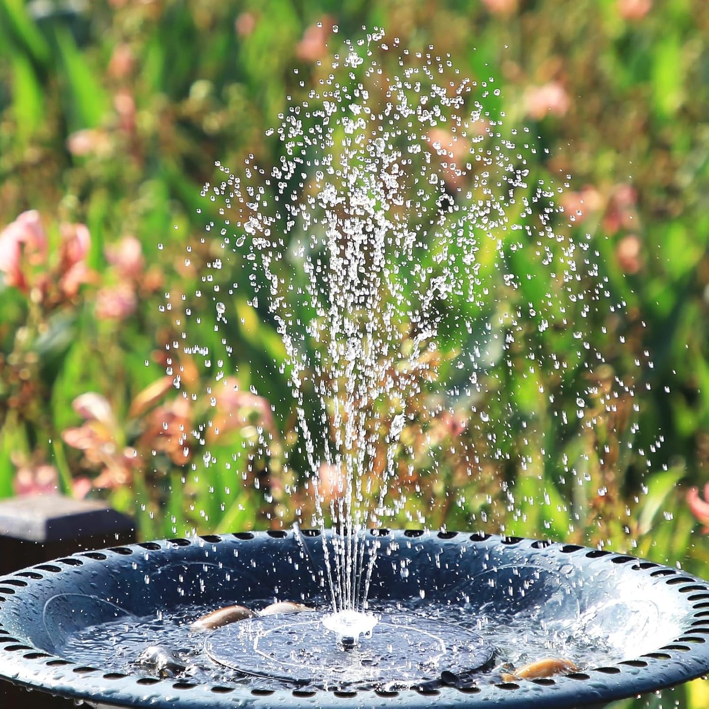 AISITIN 3.5W Solar Fountain Pump Upgraded 2026, Solar Water Fountain DIY Kit with 8 Nozzles & 3 Fixed Bracket & 9.8ft Cord for Garden, Bird Bath, Ponds, Fish Tank, Aquarium, Courtyard and Outdoor